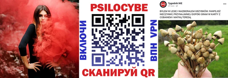 Псилоцибиновые грибы MAGIC MUSHROOMS  Подпорожье 